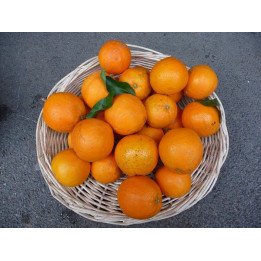 Colis Mixte Agrumes (3Kg Oranges, 2Kg Clémentines et 1Kg Citrons)
